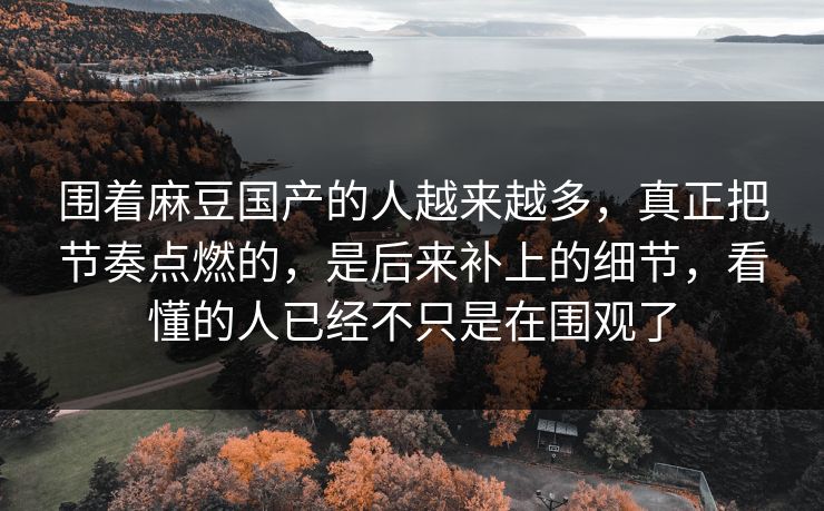 围着麻豆国产的人越来越多,真正把节奏点燃的,是后来补上的细节,看懂的人已经不只是在围观了