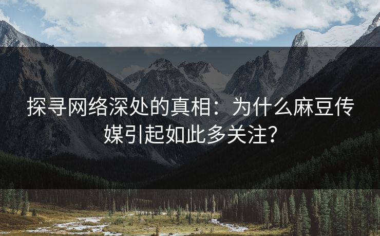 探寻网络深处的真相：为什么麻豆传媒引起如此多关注？
