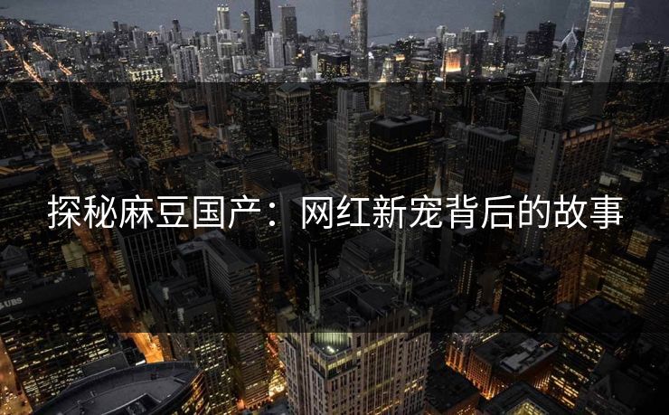 探秘麻豆国产：网红新宠背后的故事