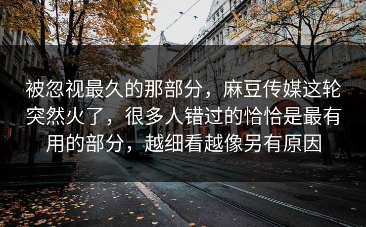 被忽视最久的那部分,麻豆传媒这轮突然火了,很多人错过的恰恰是最有用的部分,越细看越像另有原因