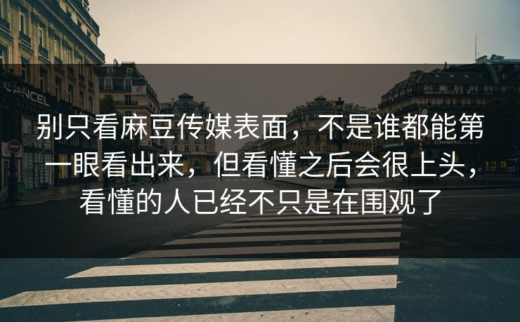 别只看麻豆传媒表面,不是谁都能第一眼看出来,但看懂之后会很上头,看懂的人已经不只是在围观了